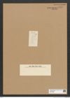 Diatomeae indet. Zeichnungen Sammlung Grunow Nr. 6278 (NHMW-BOT-W0374888)